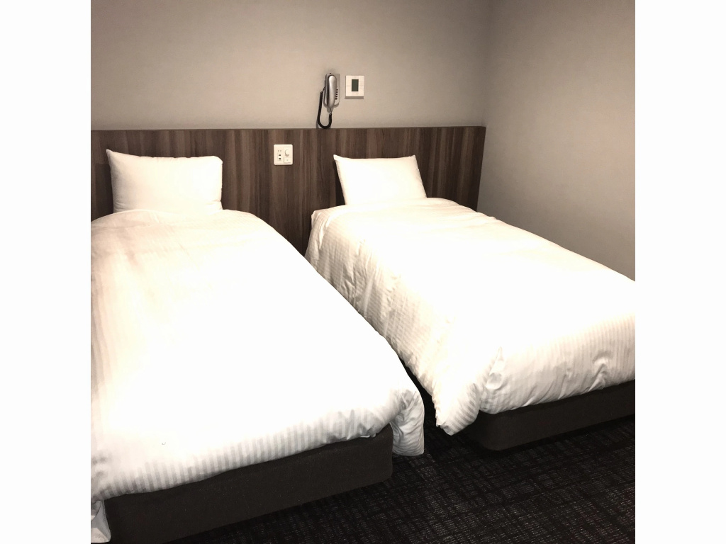 Standard Double room (twin beds)