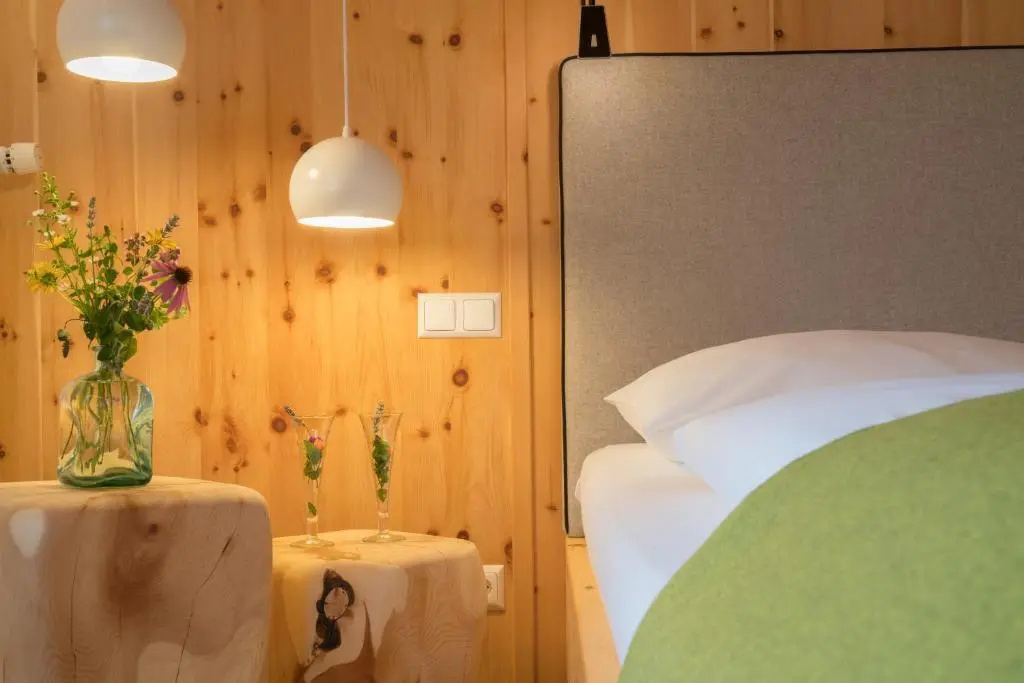 Standard Double room with lake view (full double bed)