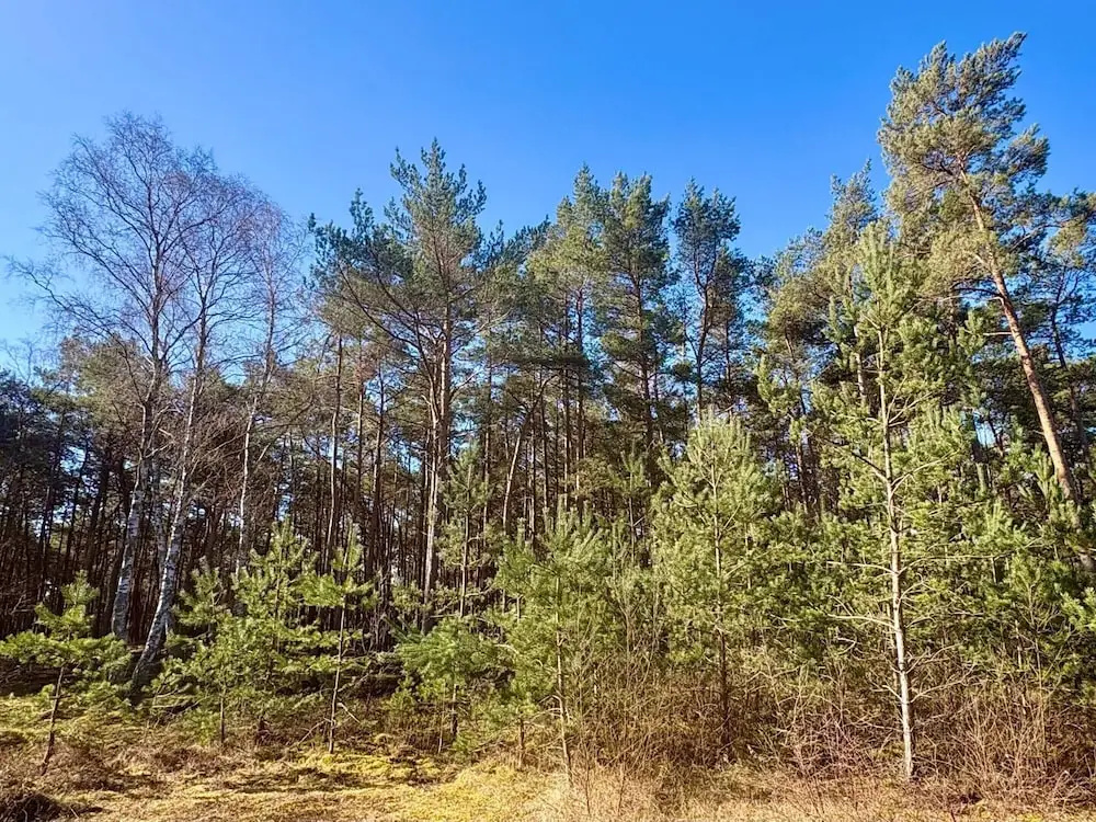 5 Person Holiday Home in Aakirkeby