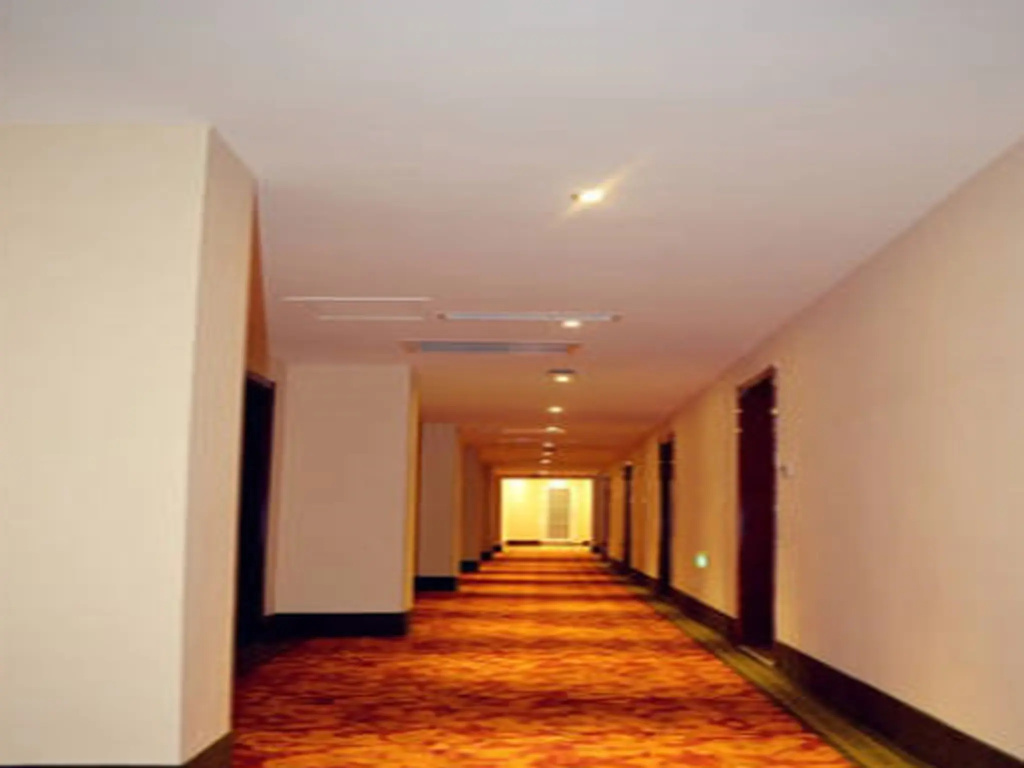 GreenTree Inn Zaozhuang Tengzhou Railway Station Middle Fuqian Road Shell Hotel - Général