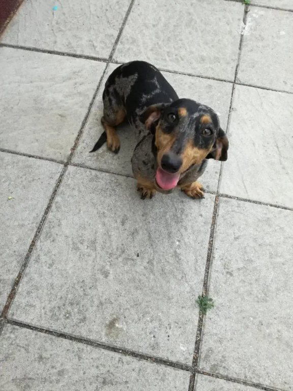 Poezelhoekvallei Loft - фото 27