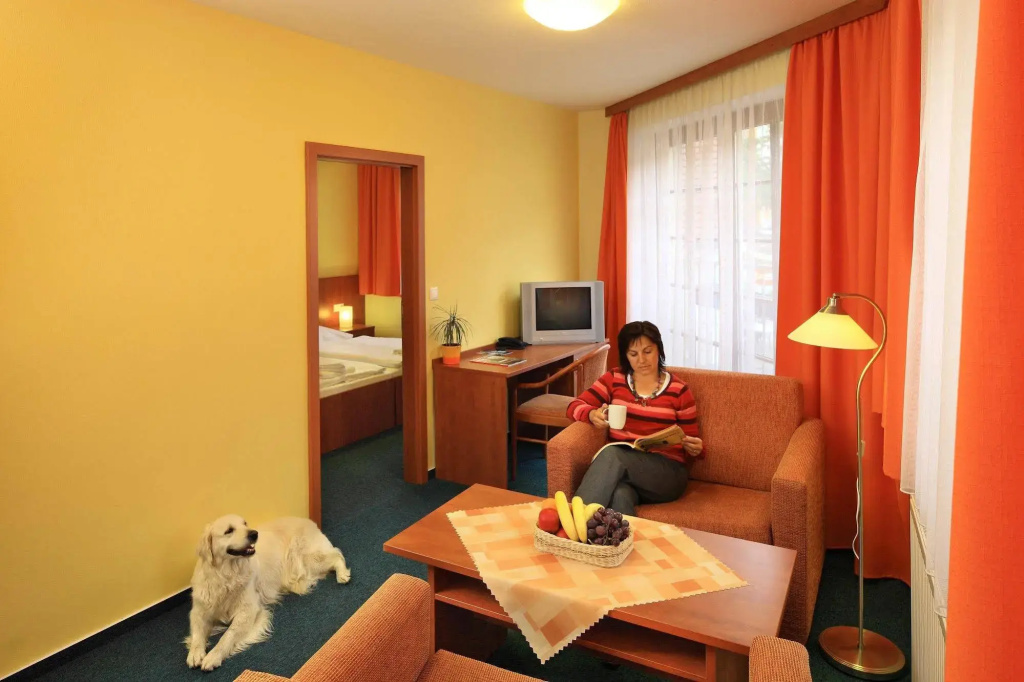 Hotel Záviš z Falkenštejna - Général