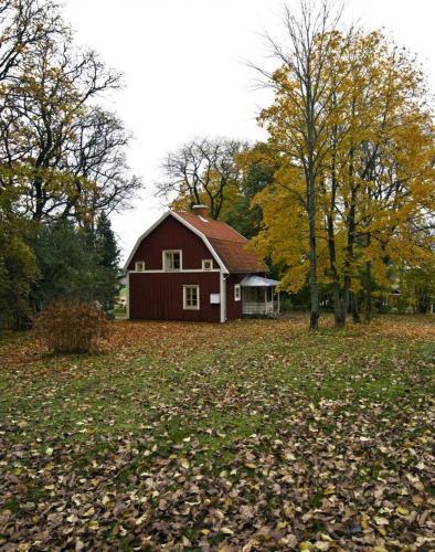Image 10