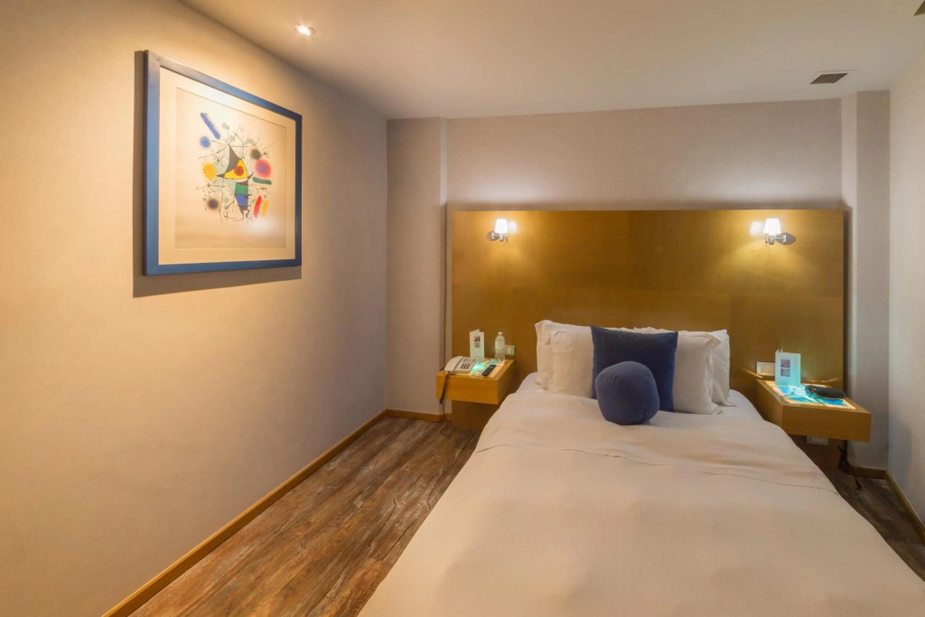 Suites Contempo - Général