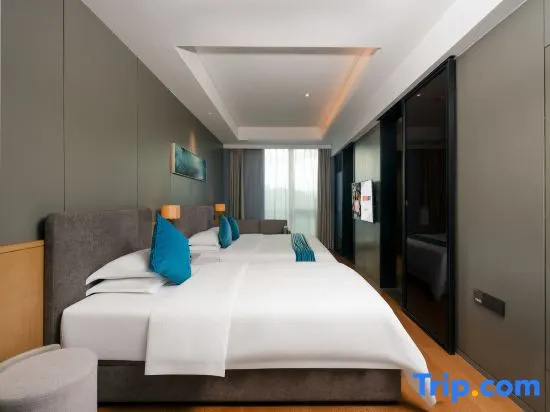 Standard Double room with city view (full double bed)
