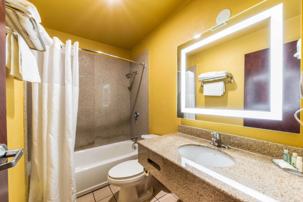 Quality Inn & Suites Sacramento Downtown Area - Général
