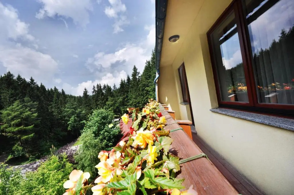 Jelenia Struga MEDICAL SPA - Chambres
