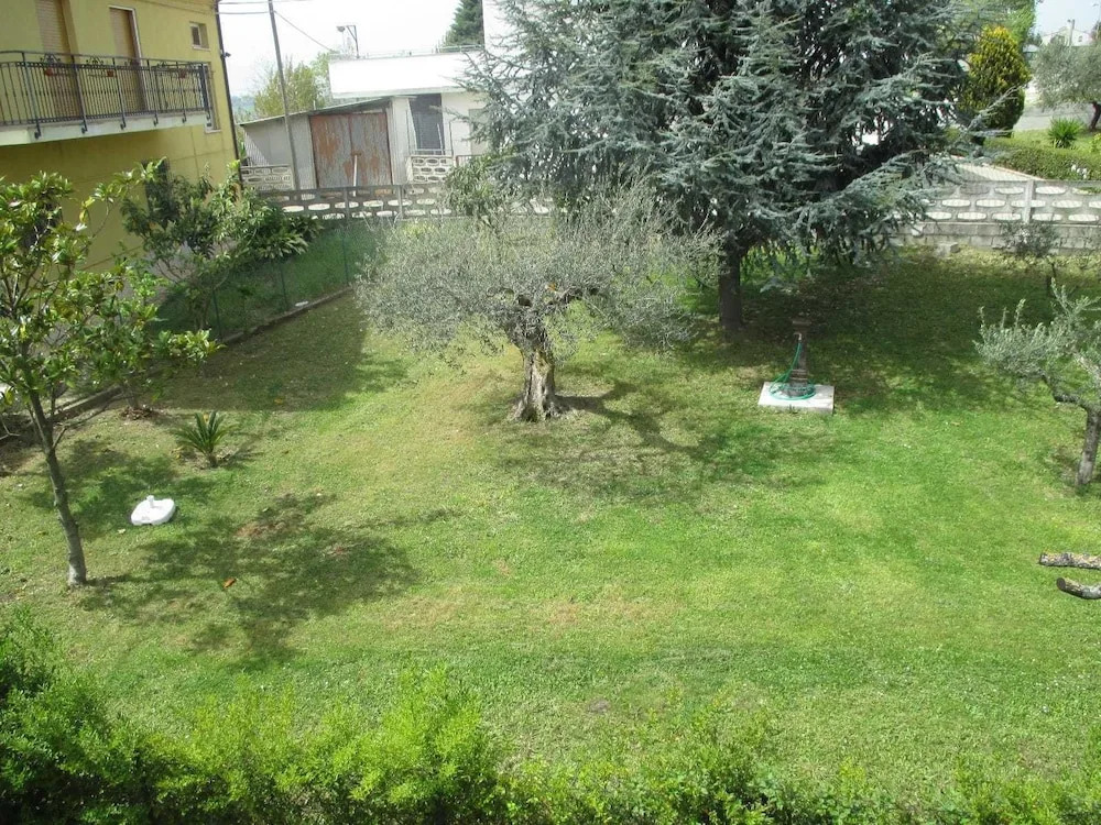 Image 10
