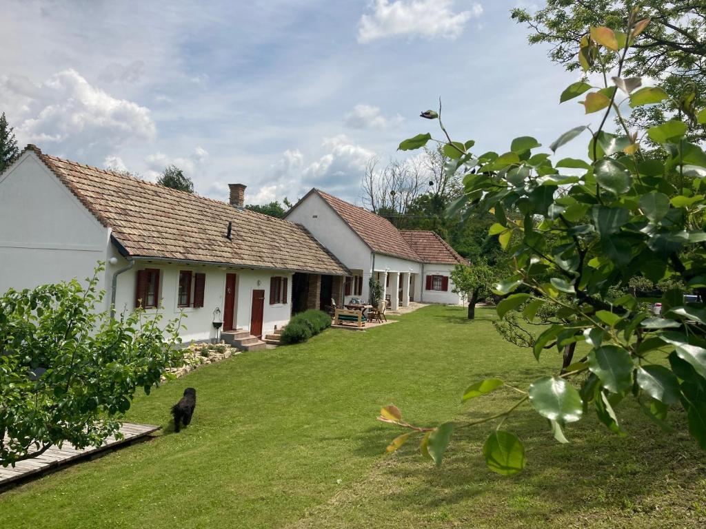 Körte Porta - фото 18