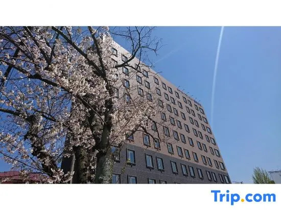 Hotel Granview Fukuoka Airport 사진 5