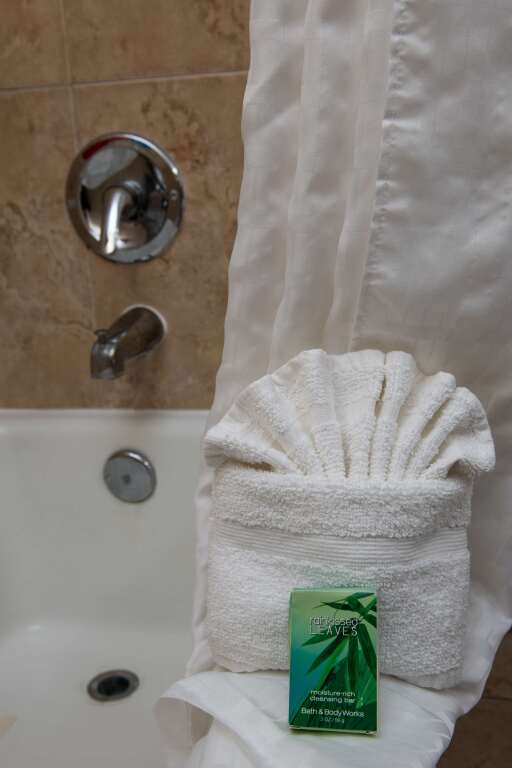 Caribe Hotel by null