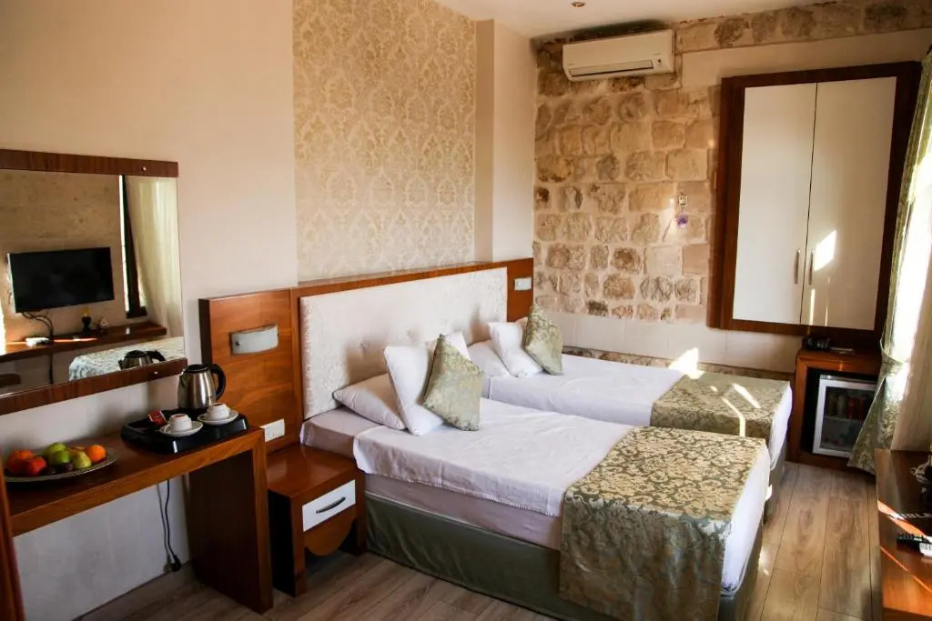 Standard Double room with city view (twin beds)