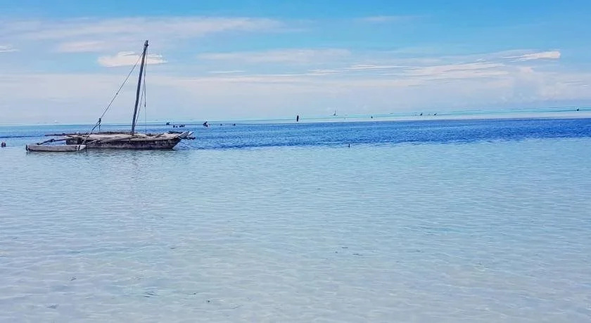 Beach & Waterfront