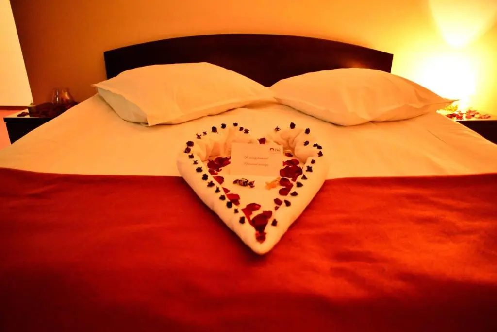 Ciric Hotel - Chambres