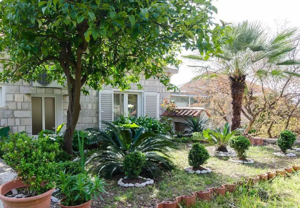 Apartments Nicol