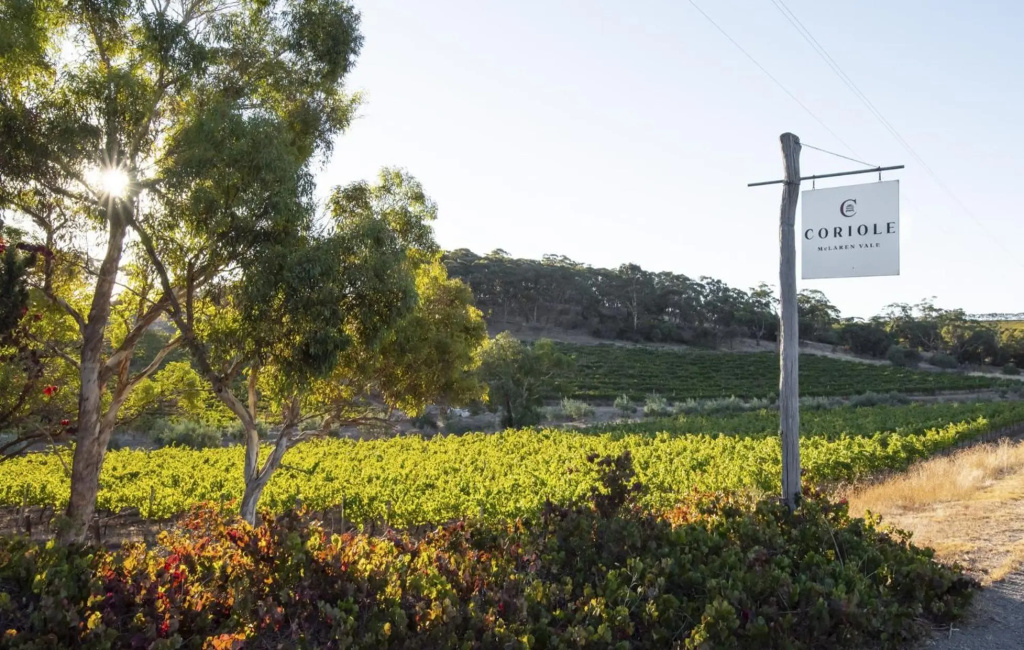 Sun & Surf Aldinga Beach Apartment — 4