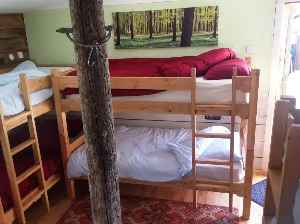 Bed in Dorm