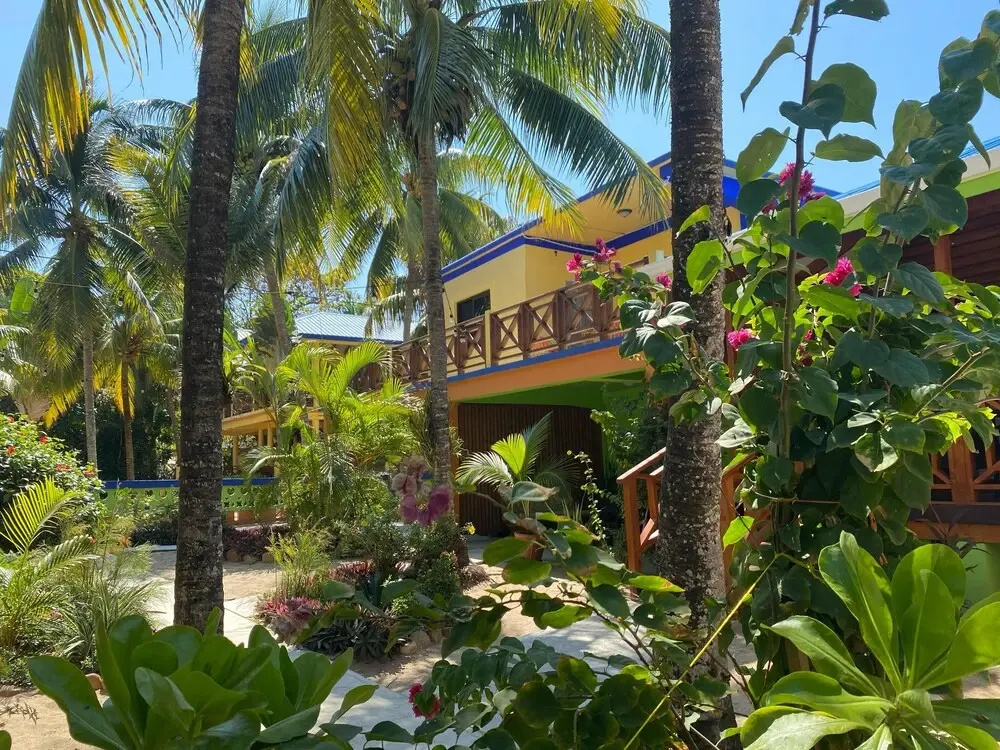 Coconut Row Boutique Hotel - Chambres