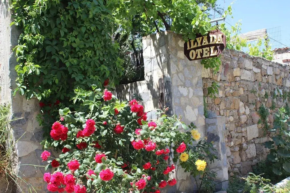 Hotel photo 25