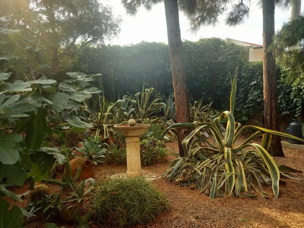 Hotel photo 34