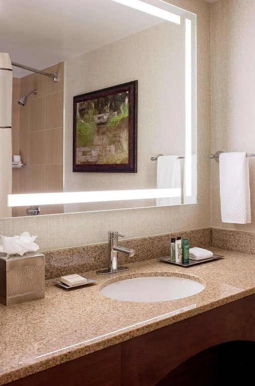 Hilton Houston Galleria Area - Chambres