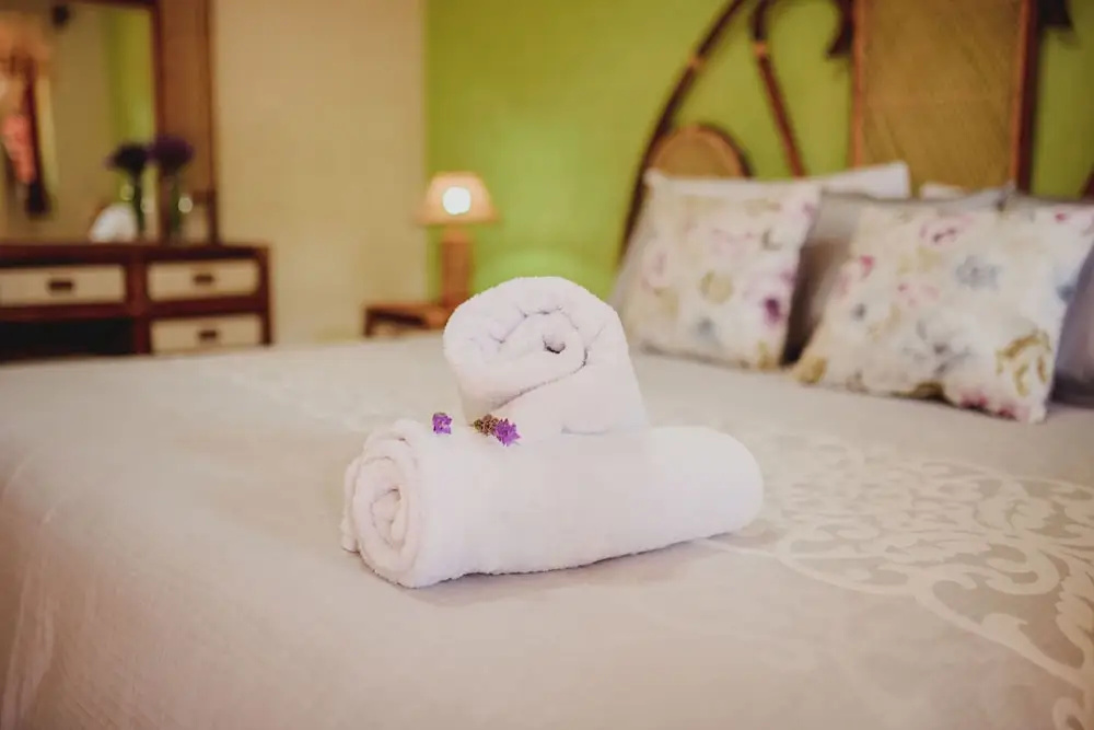Gran Misiones Tequisquiapan - Chambres