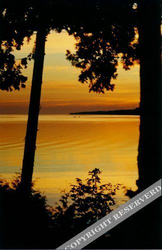 Eider's Down Bed And Breakfast