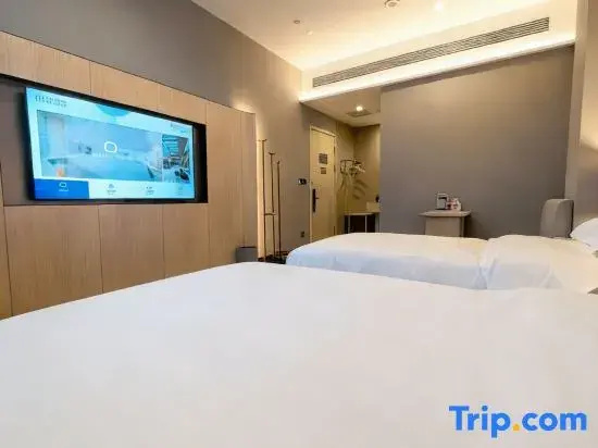 Business Double room (twin beds)