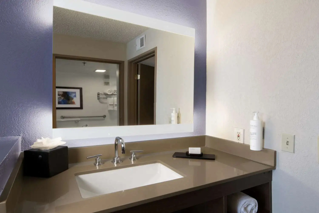 Embassy Suites by Hilton Dallas DFW Airport South - Général