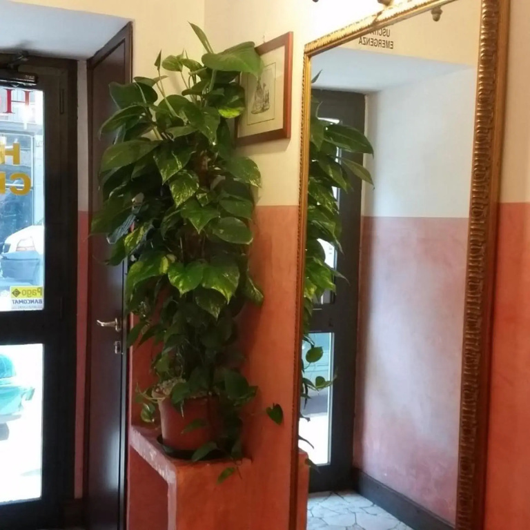 Hotel photo 27