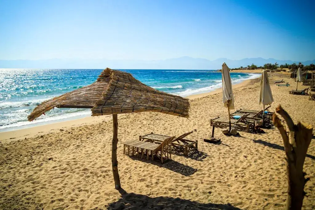 Habiba Beach Lodge - фото 13