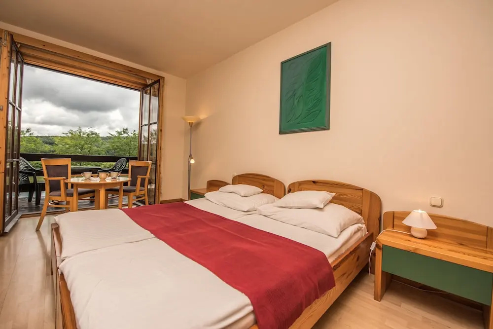 Petnehazy Club Hotel Superior - Chambres