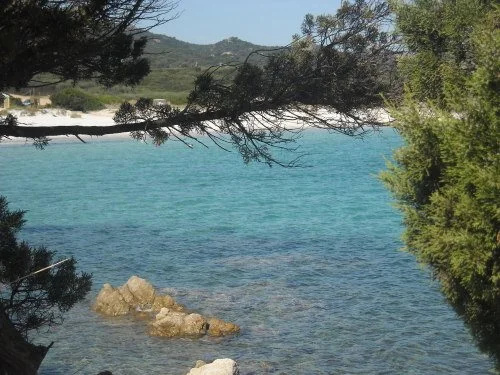 Beach & Waterfront