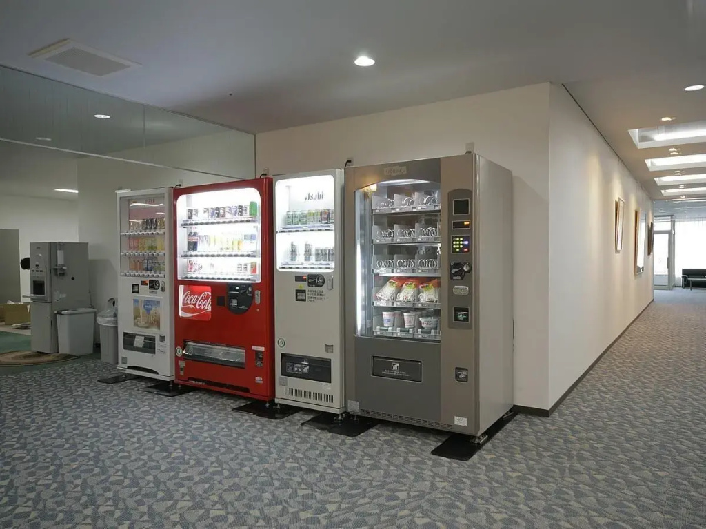 Hagi Royal Intelligent Hotel - фото 9