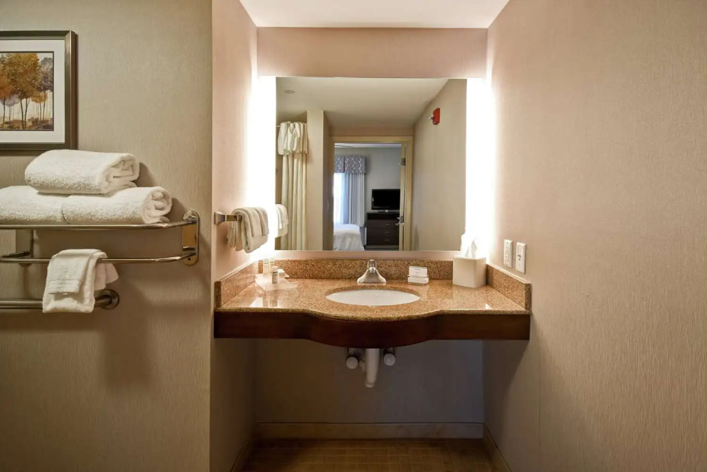 Homewood Suites by Hilton Dover - Chambres