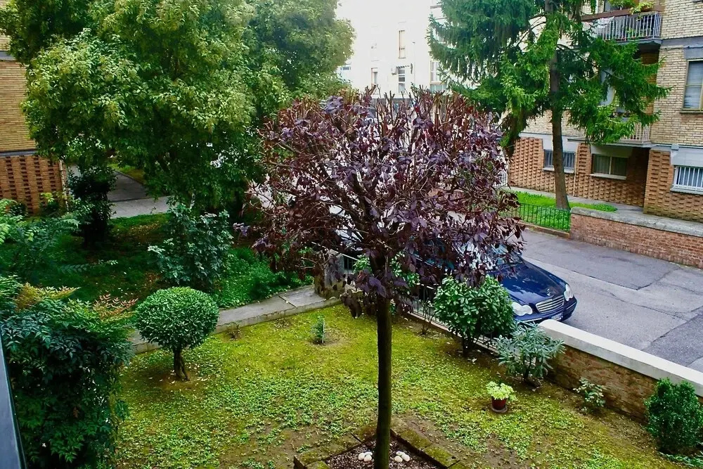 Nel quartiere a casa di Silvia