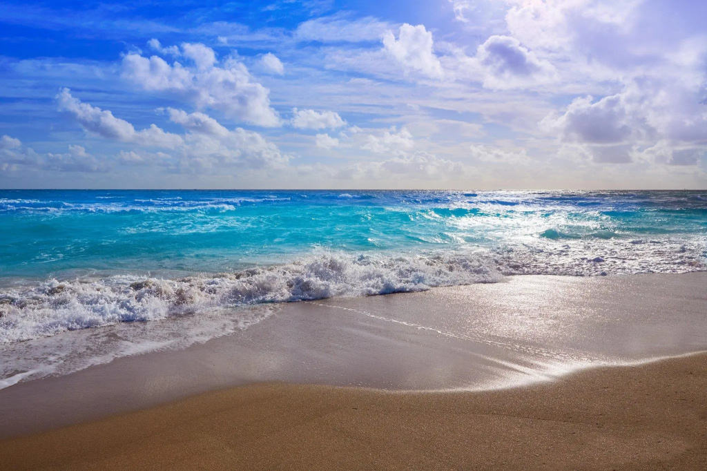 Beach & Waterfront