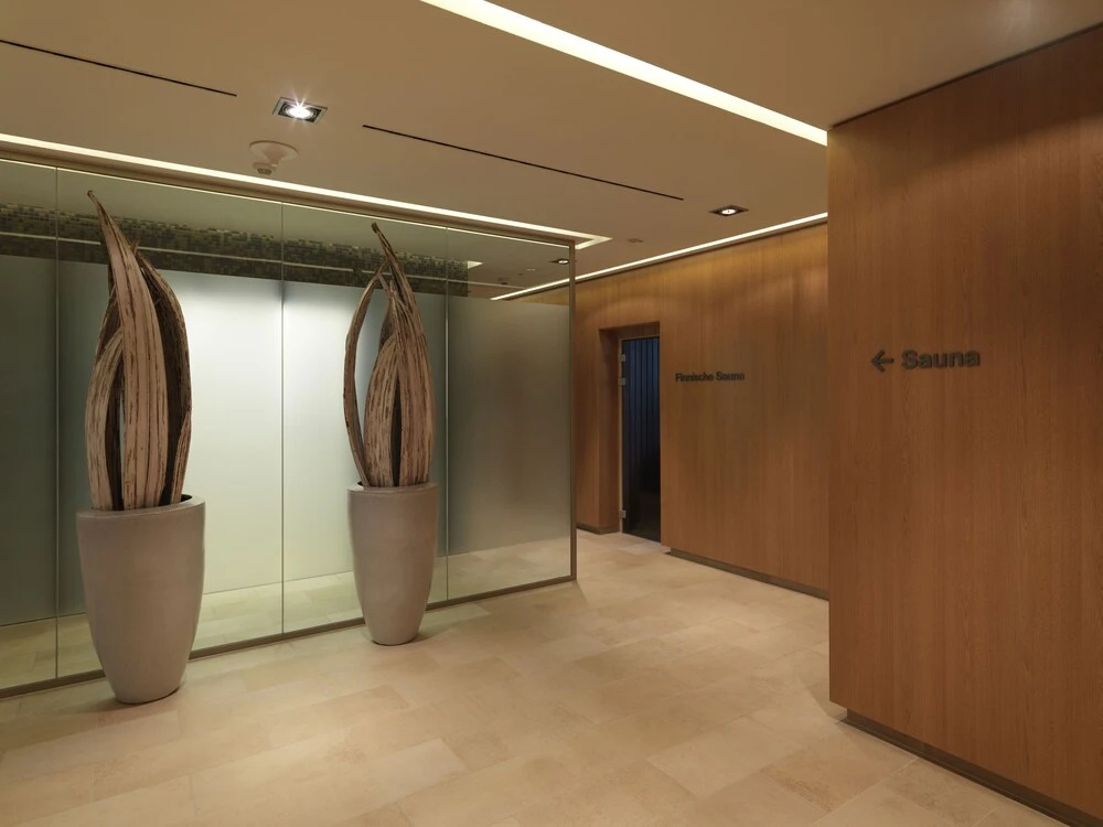 Lufthansa Seeheim - More than a Conference Hotel - Général