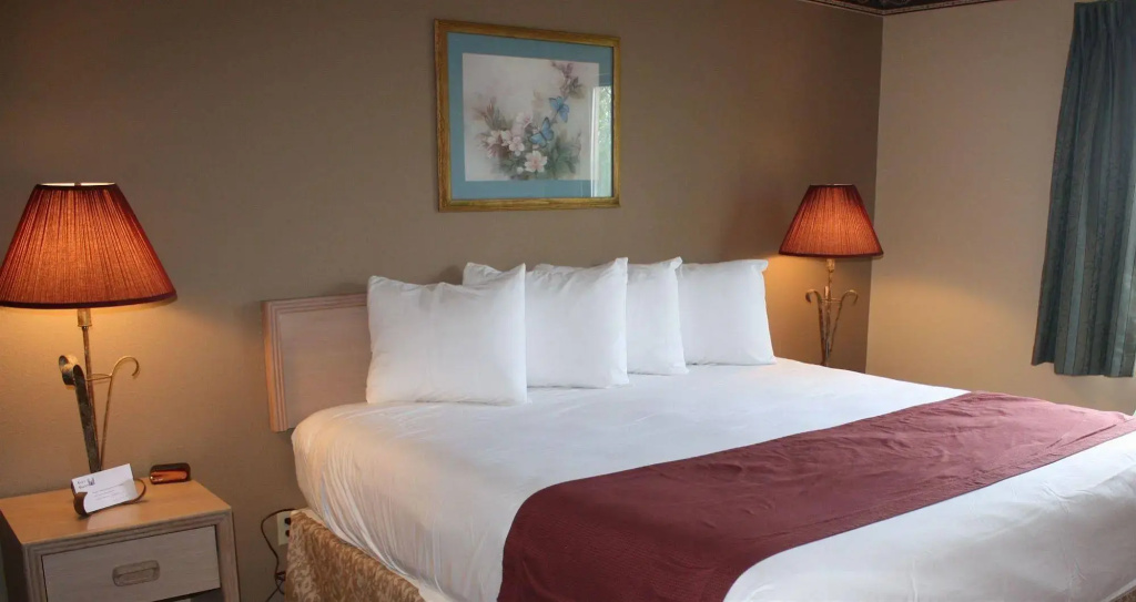 Hotel photo 7