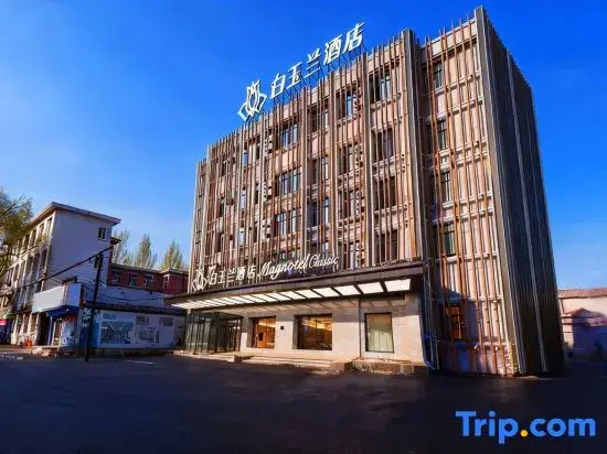 Magnotel Business Hotel (Mudanjiang Railway Station Beian Road)