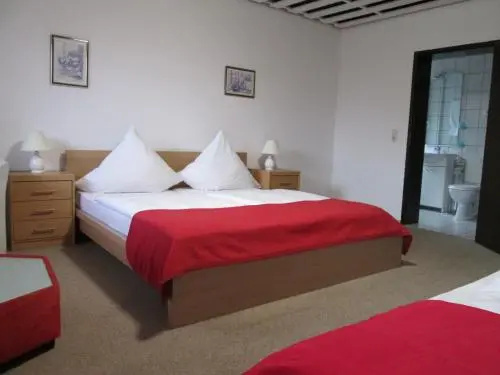 Hotel Skandinavia - Général