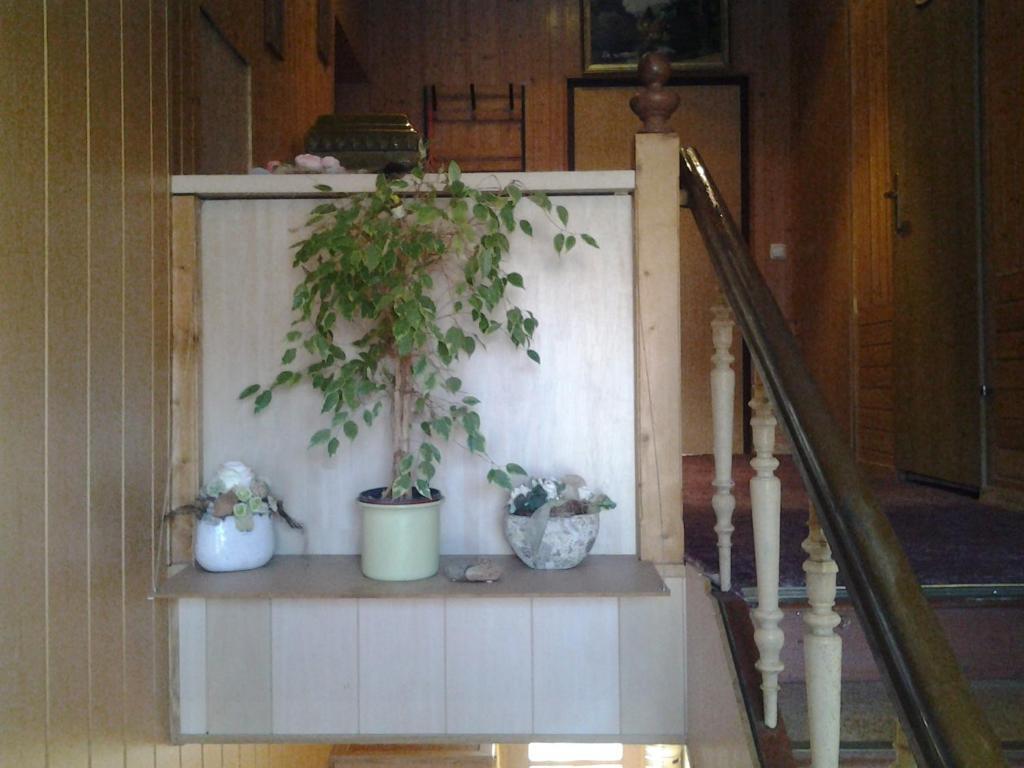 Image 13