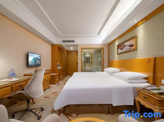 Deluxe Double room (twin beds)