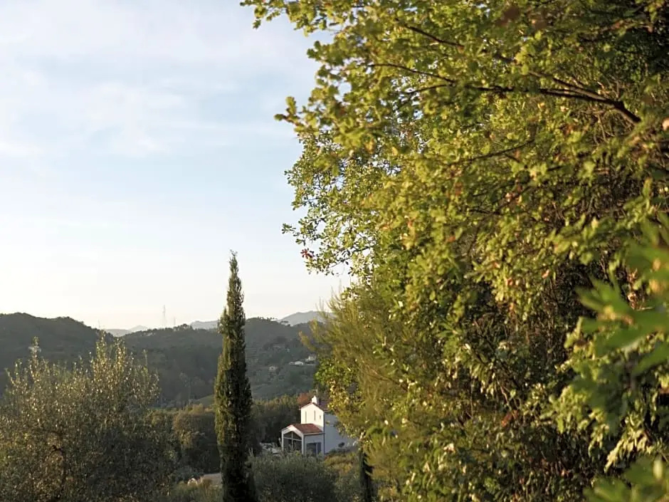 B&B La Fustaia
