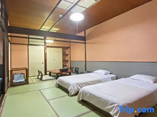 Standard Double room with mountain view (twin beds)