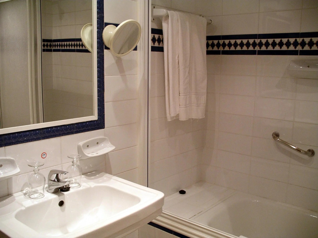 Standard Double room (twin beds)