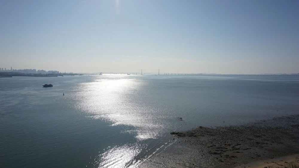 Beach & Waterfront