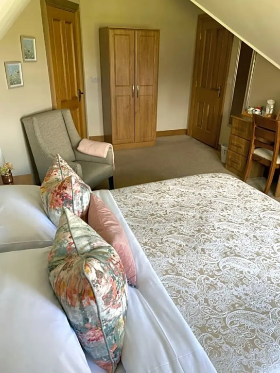 Standard Double room with mountain view (full double bed)