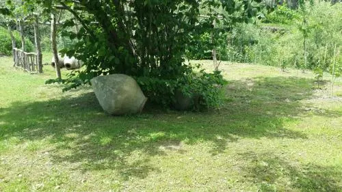 By The Wood