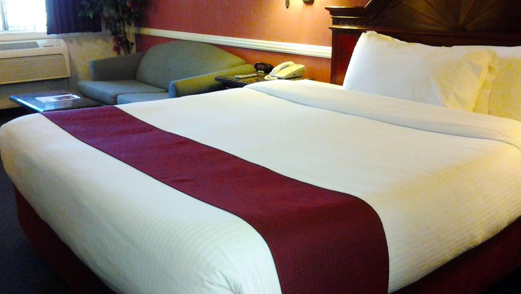 Dynasty Suites Hotel Riverside - фото 4